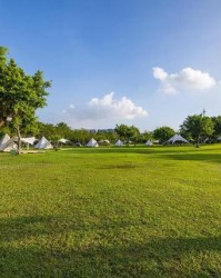 pulse-kaiyun.com-一个人最大的愚蠢，就是轻易公开这四件事！