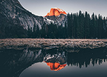 必发交易指数：投资世界里的稳健光线